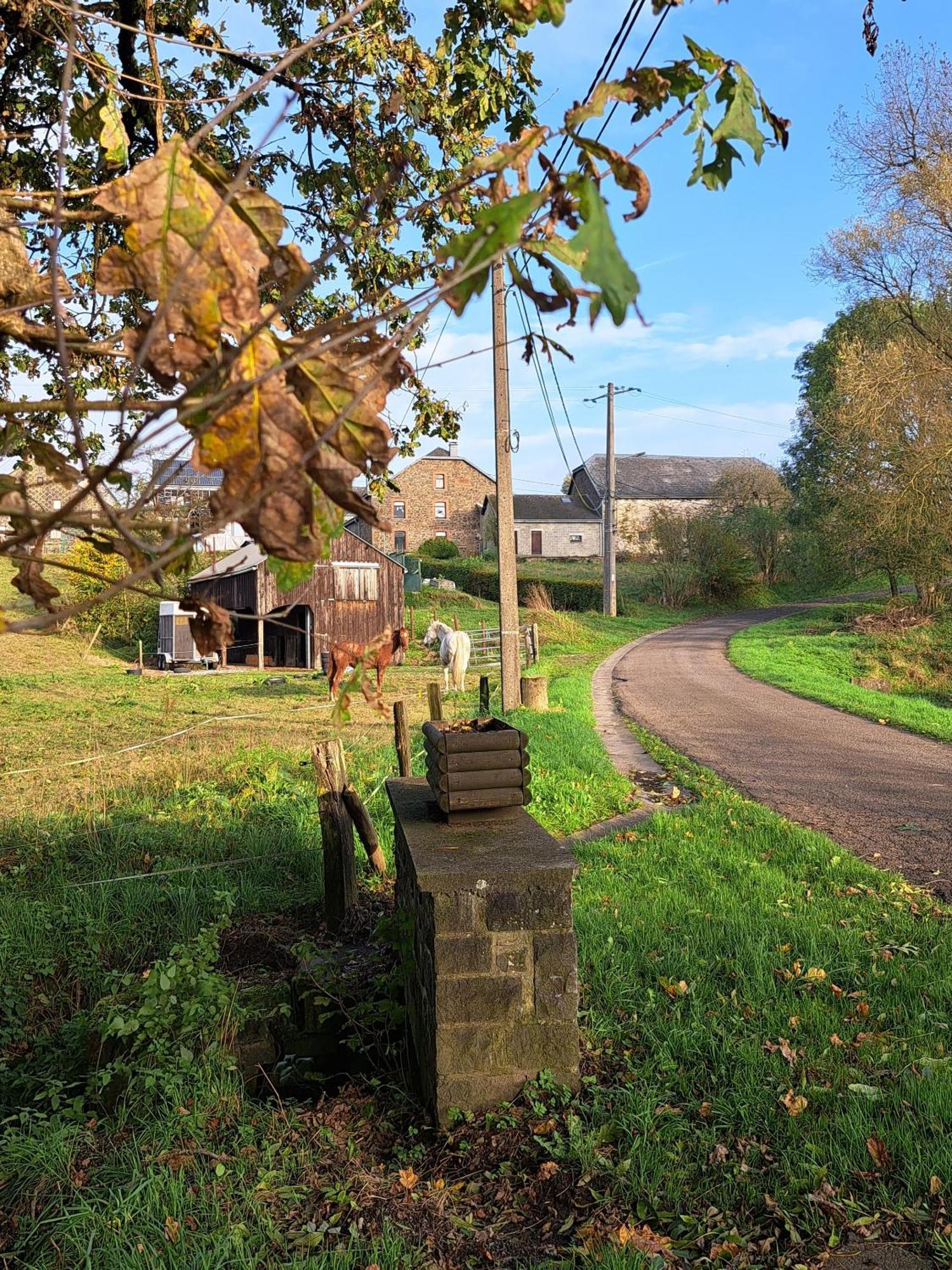 Gite Al Fontaine La-Roche-en-Ardenne Dış mekan fotoğraf